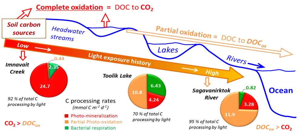 Conceptual Diagram