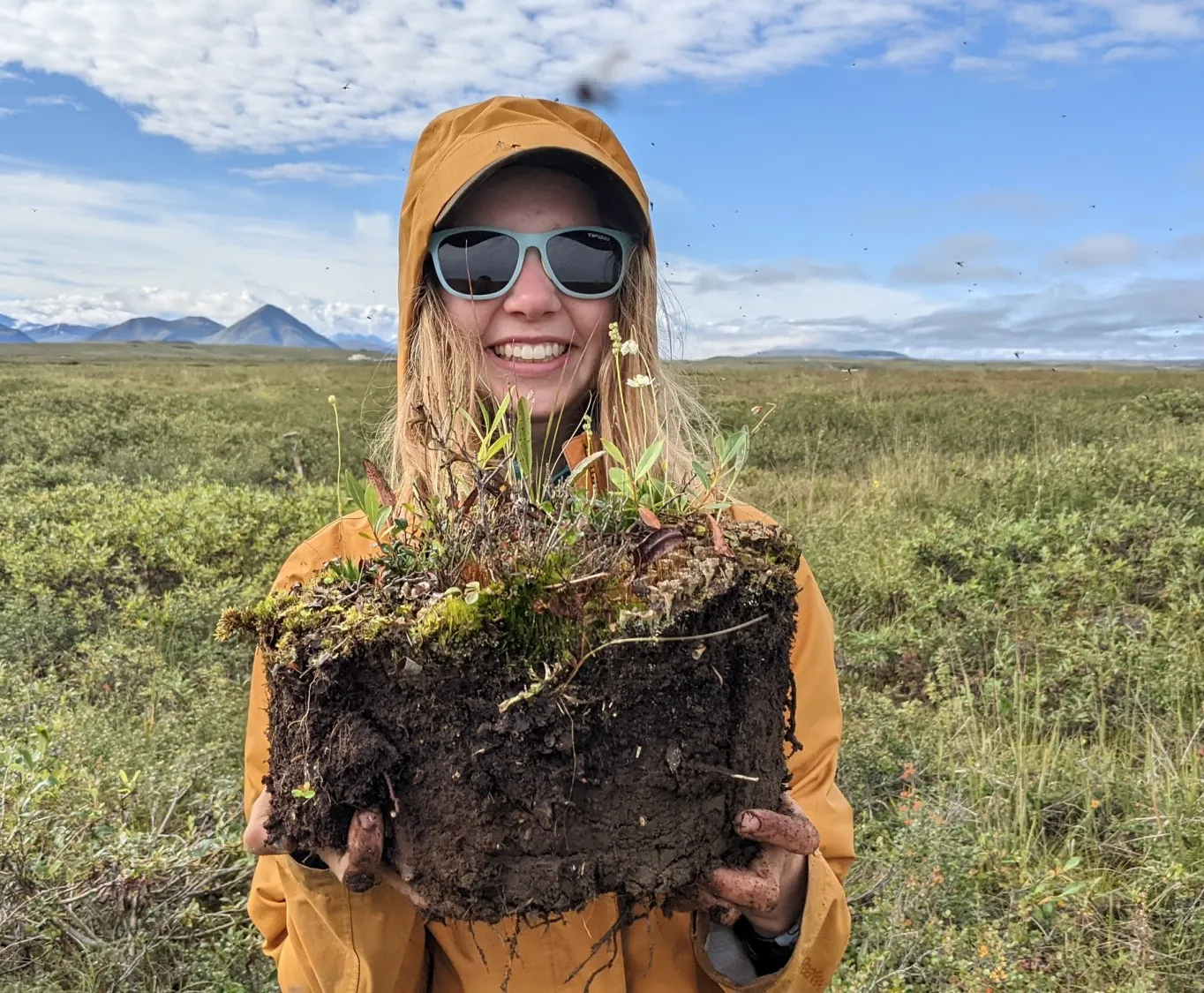 August 2, 2022. Tundra microcosms. Undergraduate researcher Helen Brush collecting tundra willow seedlings from frost boils to investigate the establishment of tundra shrubs across the Arctic. Credit: Ruby An