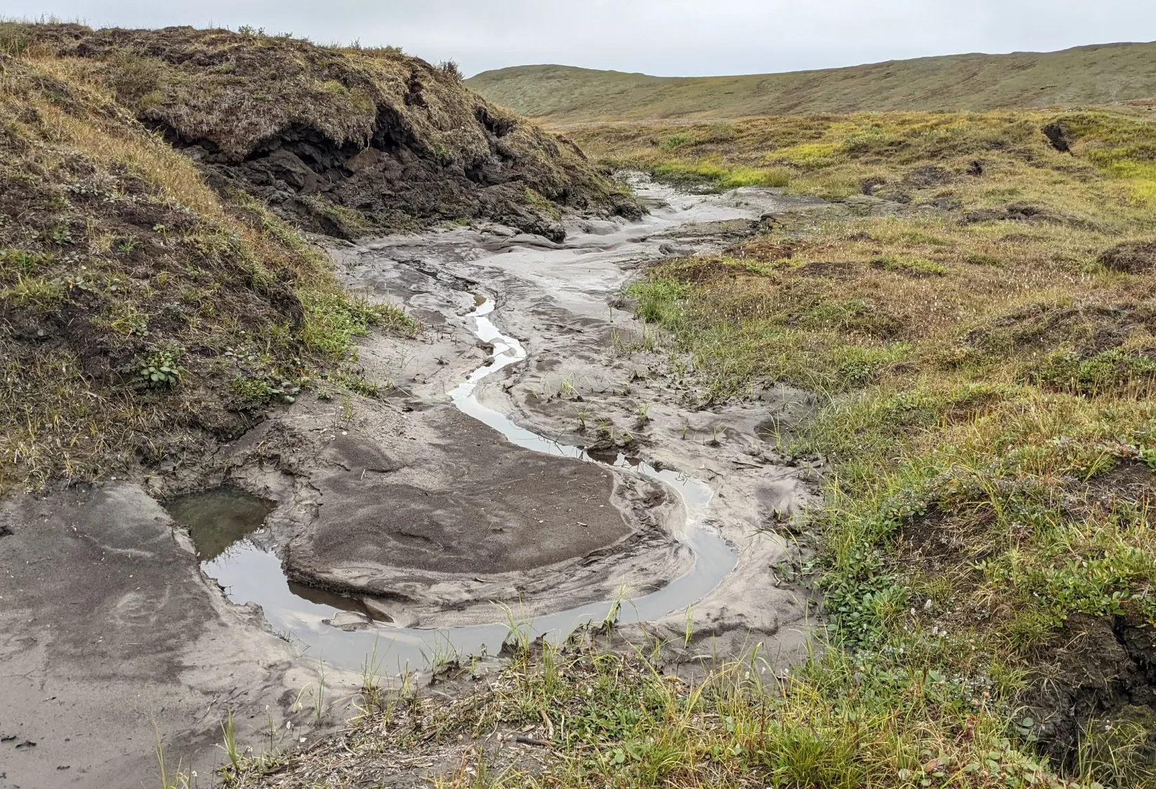 August 14, 2022. Jade Mountain thermokarst. Ice wedge degradation and thawing permafrost causes the ground to slump, splitting open the tundra and releasing large amounts of greenhouse gases from new microbial processing of ancient soils. Credit: Ruby An