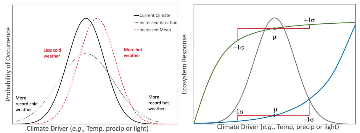 Effects of climate driver distribution on the extremes (left) and non-linear ecosystem responses (right).