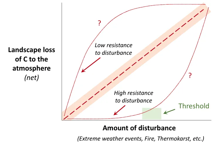 Theoretical responses of landscape net C loss to the atmosphere as a function of disturbance