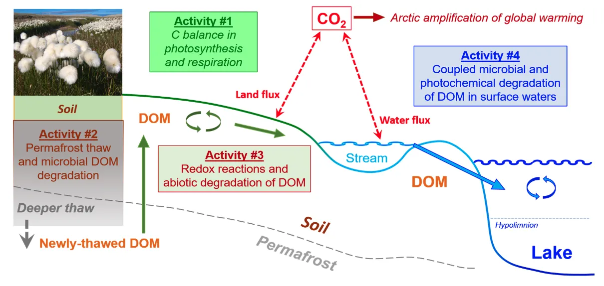 Summary of the terrestrial-aquatic continuum with the four new activities illustrated to answer research Question 3.