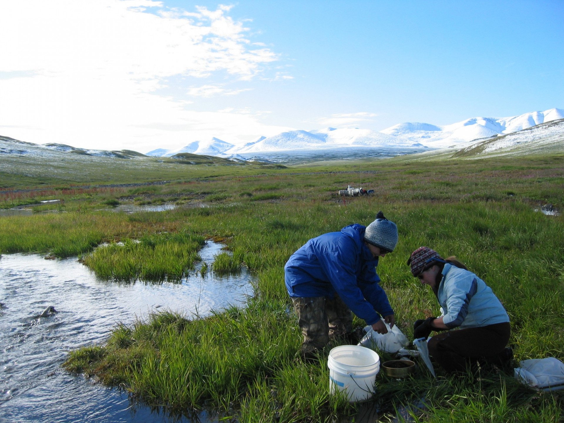 Aquatics sampling