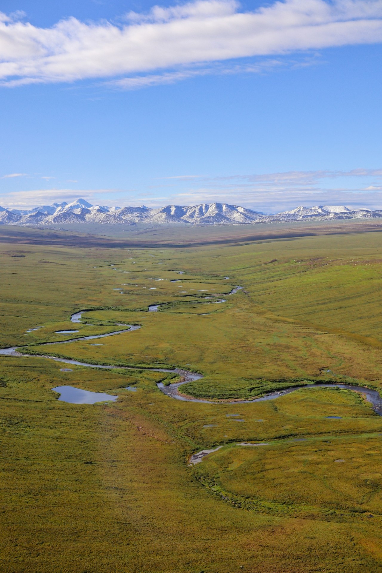 The Kuparuk River, North Slope, AK - View from Helicopter, Credit: Lindsay Vanfossen