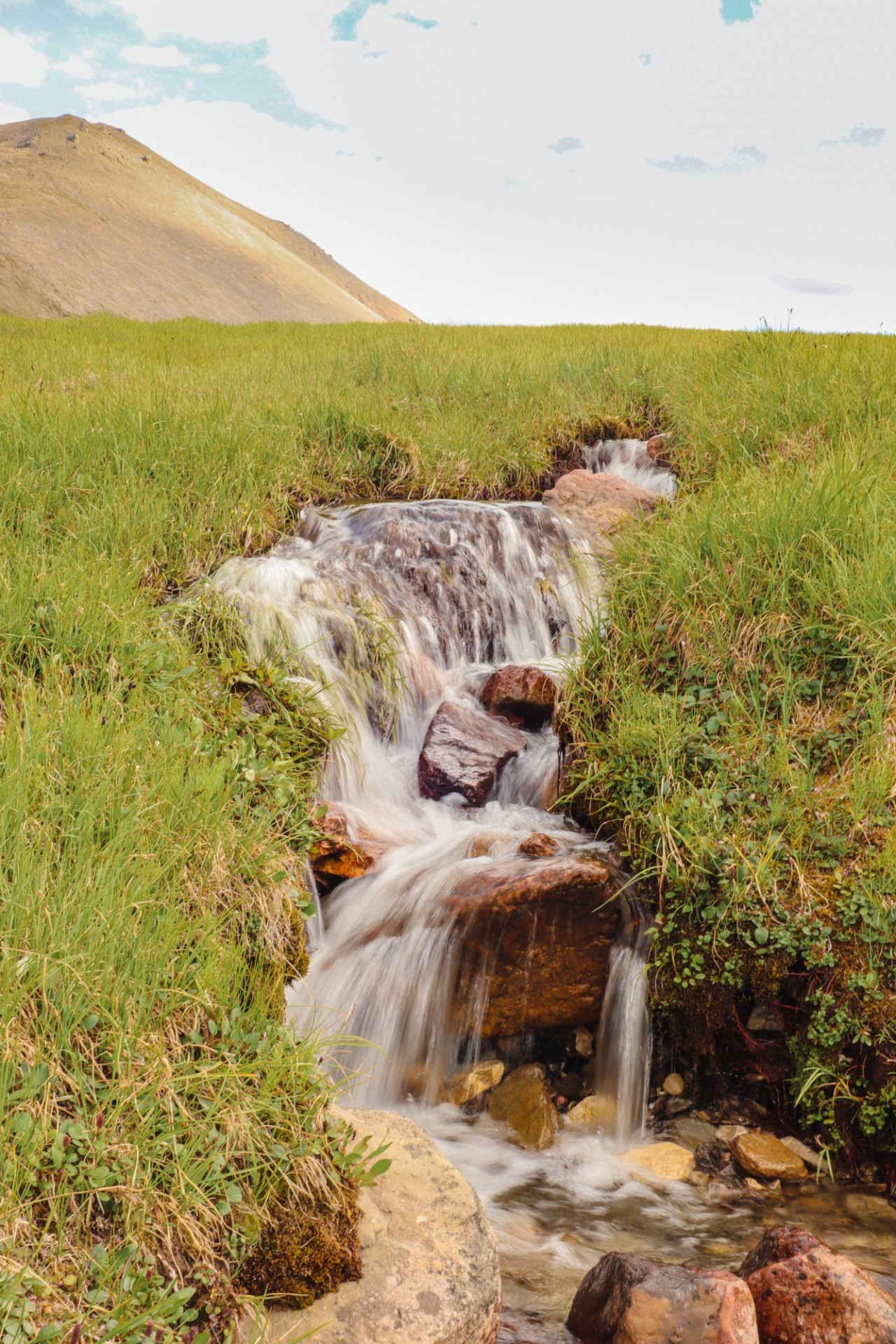 Arctic spring found on a hike to a mountain called "The Molar." @arctic_oases , spent their summer exploring spring-fed streams on the North Slope of Alaska! Spring-fed streams in this area are the only perennial flowing habitat and 95% of flowing habitats freeze in the winters.Credit: Lindsay Vanfossen