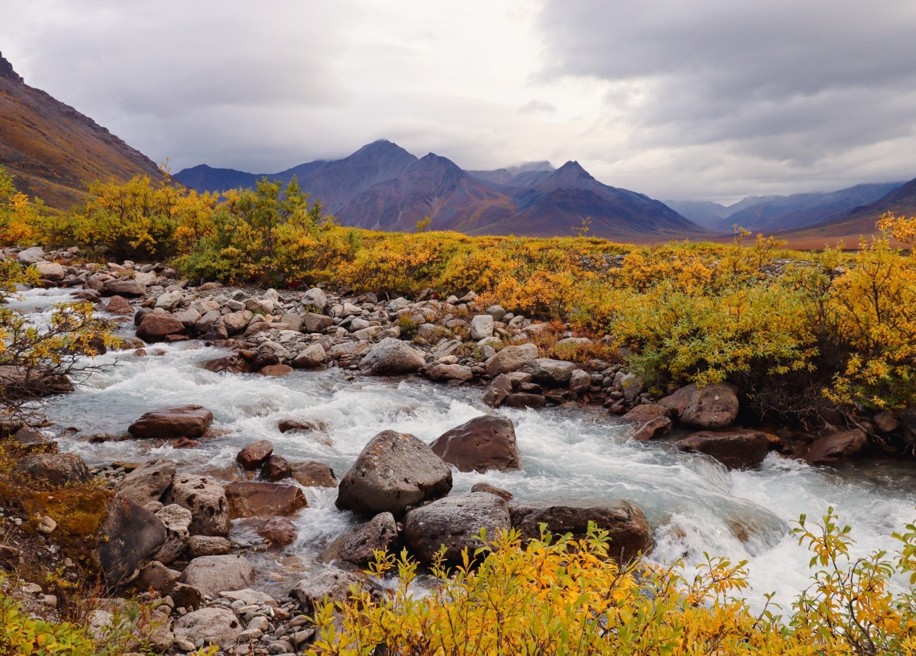 Autumn in the Arctic at Trevor Creek! The Arctic RIOS (River Integrated Observing through Synoptic Sampling) Team collects continuous biogeochemical data here at the Trevor Creek watershed outlet using in situ sensors throughout the summer season. Additionally, they sample the entire watershed four times throughout the summer with the goal of understanding nutrient dynamics throughout space and time! Credit: Lindsay Vanfossen