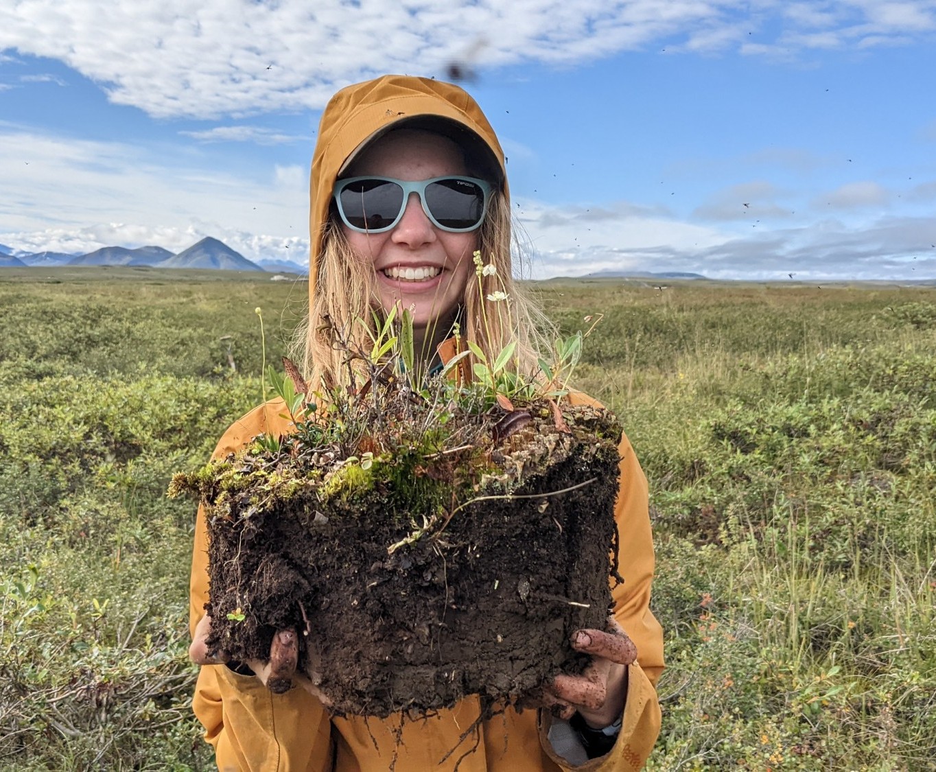 August 2, 2022. Tundra microcosms. Undergraduate researcher Helen Brush collecting tundra willow seedlings from frost boils to investigate the establishment of tundra shrubs across the Arctic. Credit: Ruby An