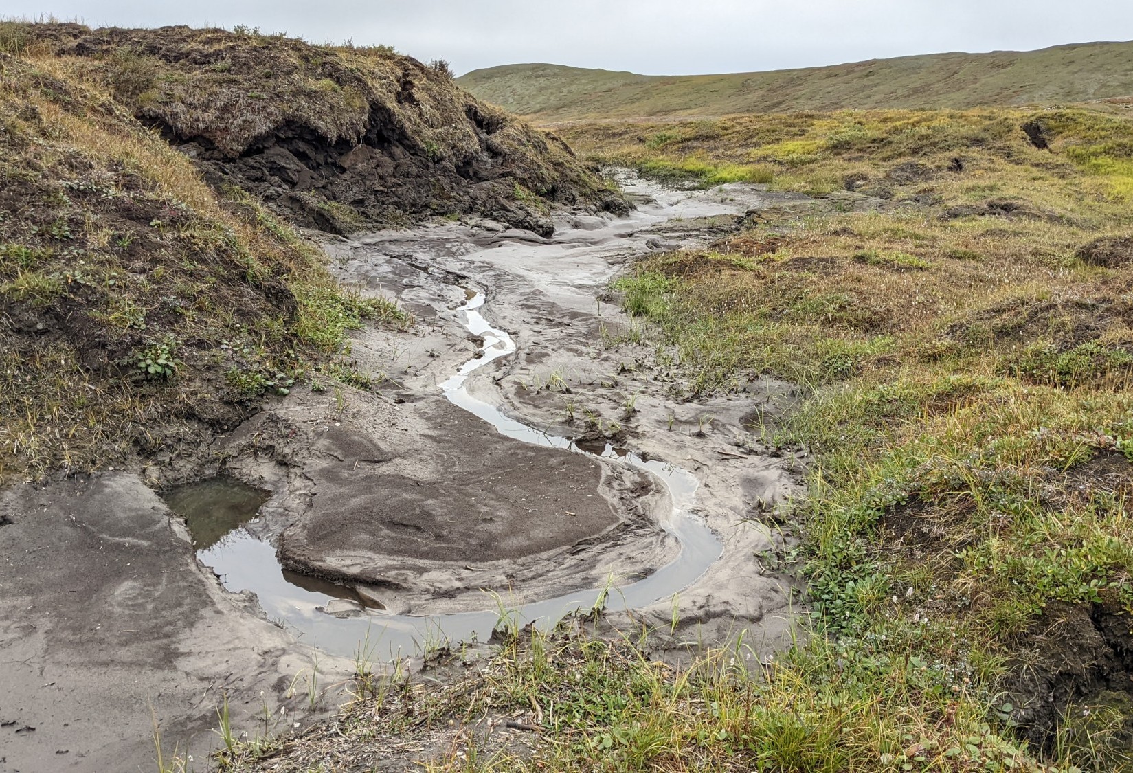 August 14, 2022. Jade Mountain thermokarst. Ice wedge degradation and thawing permafrost causes the ground to slump, splitting open the tundra and releasing large amounts of greenhouse gases from new microbial processing of ancient soils. Credit: Ruby An