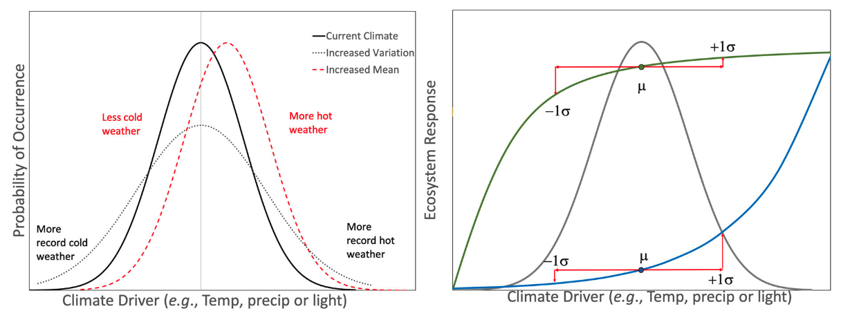 Effects of climate driver distribution on the extremes (left) and non-linear ecosystem responses (right).