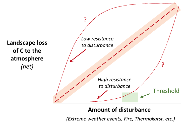 Theoretical responses of landscape net C loss to the atmosphere as a function of disturbance