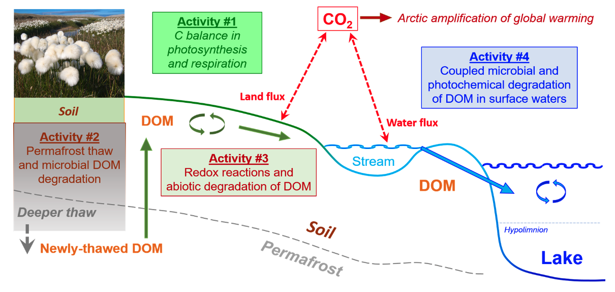 Summary of the terrestrial-aquatic continuum with the four new activities illustrated to answer research Question 3.