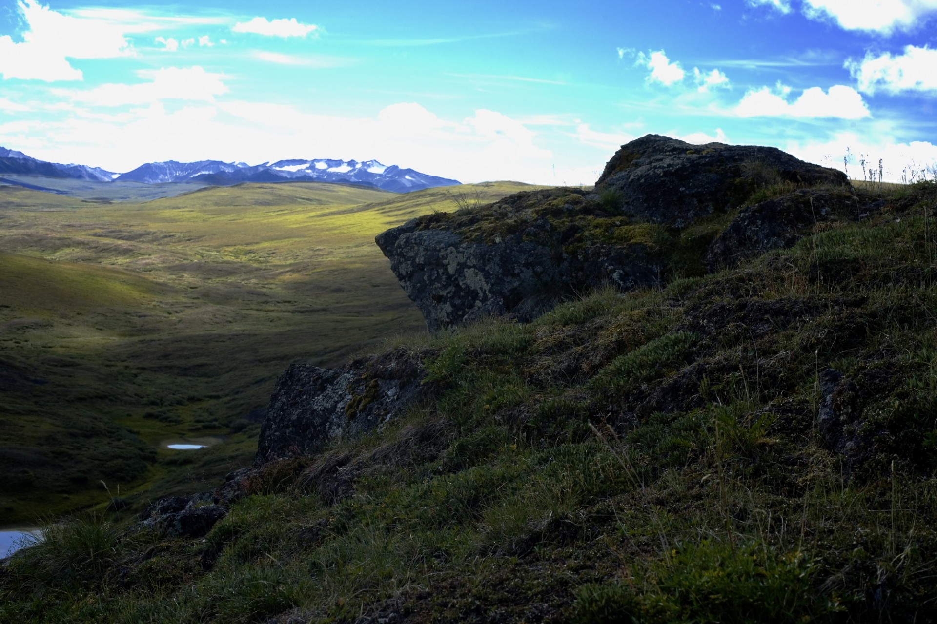 Hill slope in the foothills of the Brooks range, Credit: Jeremy Butler